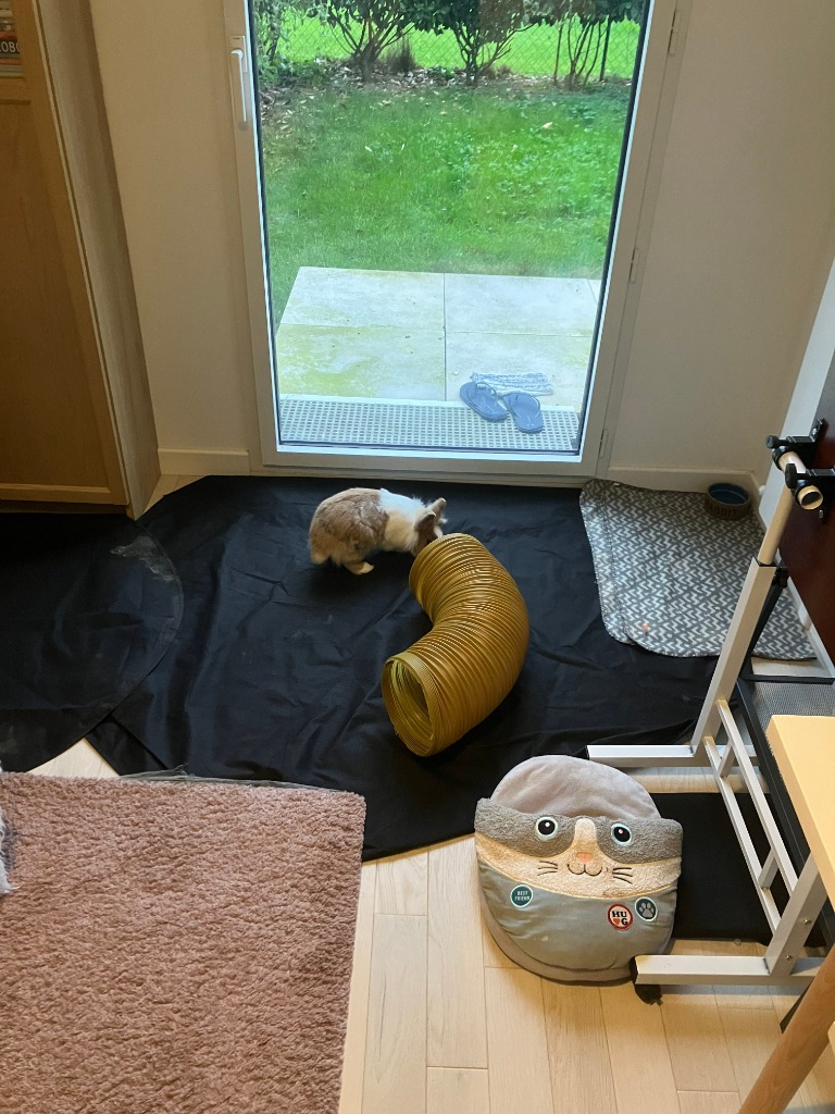 Chambre de lapin chez BuraPension avec un sol protecteur, des jouets, un tunnel et une porte ouverte vers un grand jardin vert